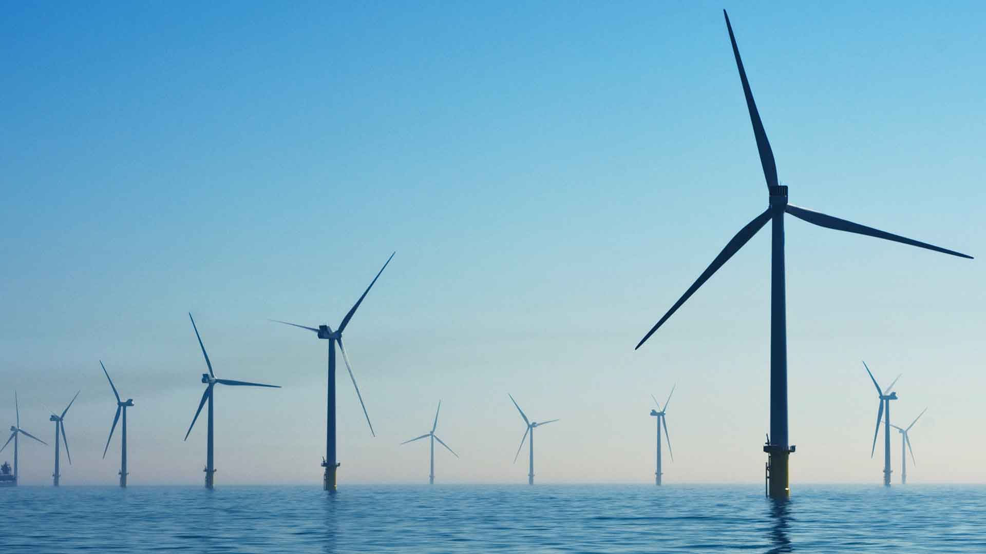 Pioneers of Solar And Renewable Energy